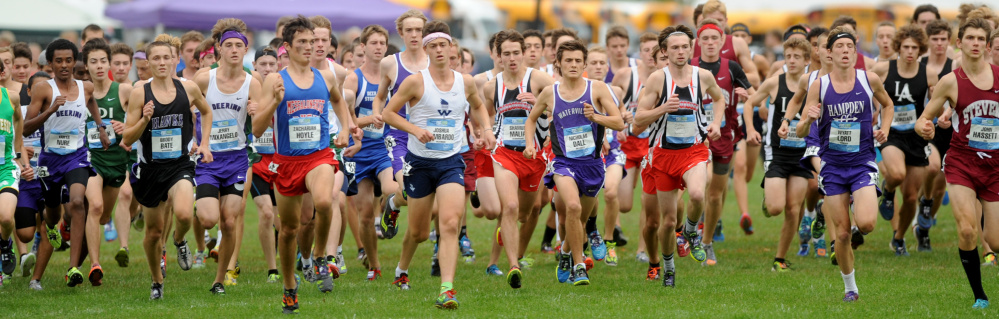 The boys' race begins Saturday as the field leaves the starting line in the 15th annual Festival of Champions cross country event in Belfast.