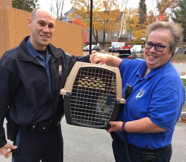 Brunswick police Officer Justin Dolci and Heidi Nelson, the town’s animal control officer, placed the owl in a pet carrier and arranged to have it taken by the Maine Warden Service to Avian Haven, a wild bird rehabilitation center in Freedom.