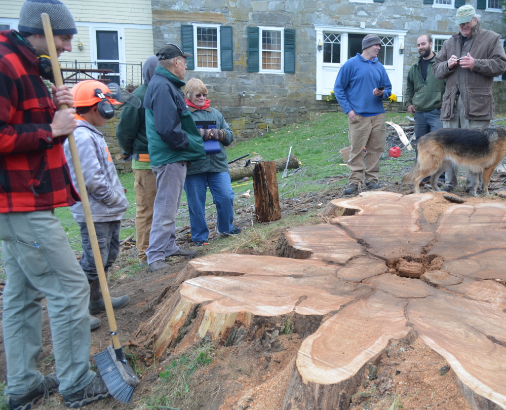Friends of an elm tree that stood for 250-300 years in Charlotte, Vt., stand around the stump after the elm was cut down on Tuesday. The tree died of Dutch elm disease.