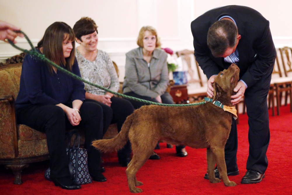 Tom VanBramer, right, and family members find solace in Greyce, a therapy dog, at a wake for his mother, Christine, at Dwyer Funeral Home in Pittsfield, Mass., on Oct. 16.