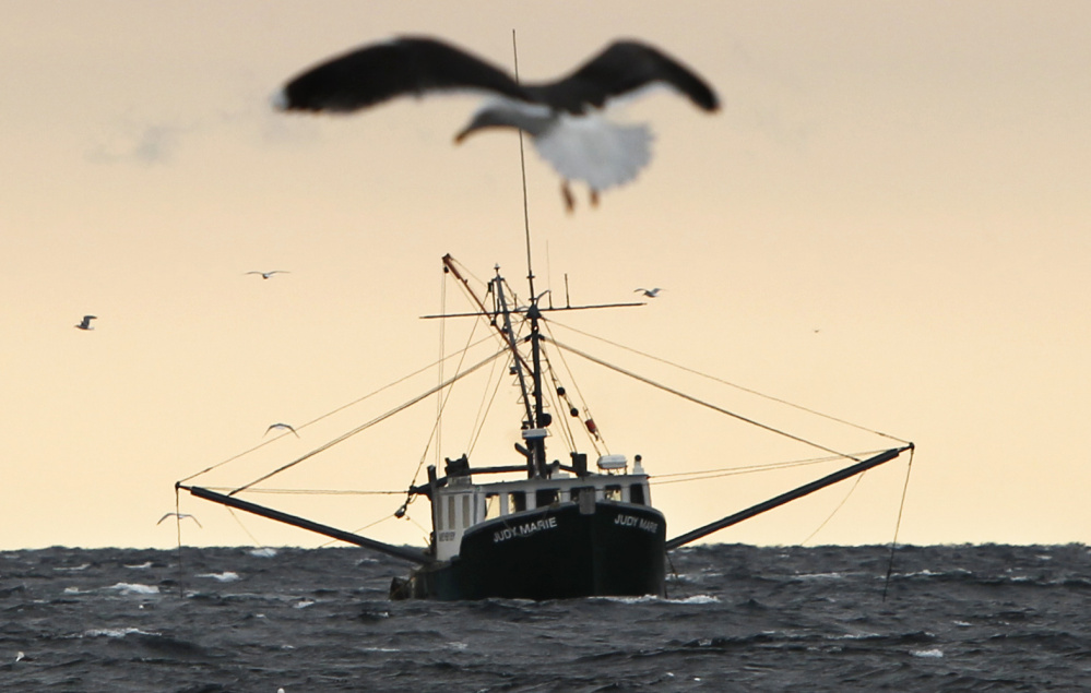 A shrimp fishing trawler works in the Gulf of Maine in 2012. Interstate regulators decided Thursday to keep the shrimping moratorim in effect for the 2017 season.