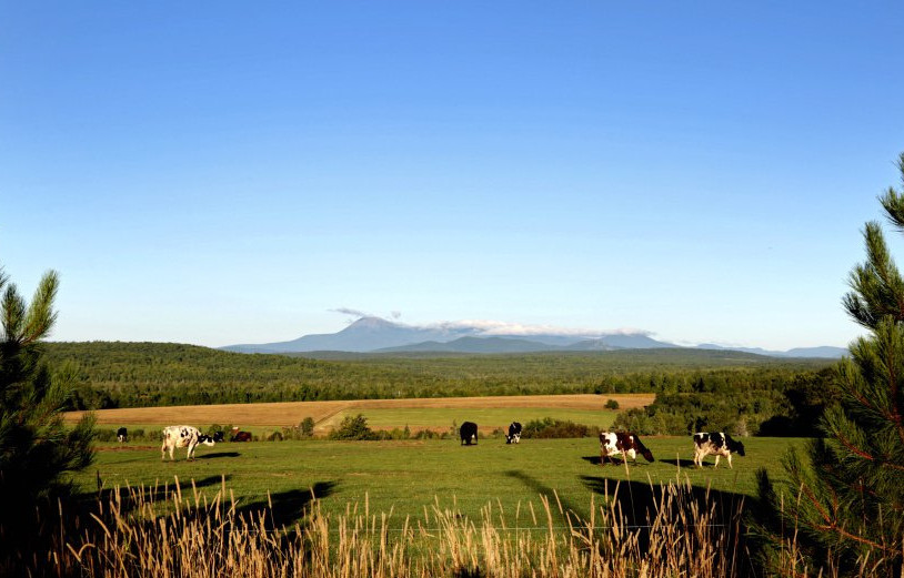 A field in Patten offers a view into the Katahdin Woods and Waters National Monument area, designated this summer by President Obama. Even if Donald Trump reverses the monument designation, it won't bring back the days when the region's paper mills were booming or change the need to diversify northern Maine's economy.