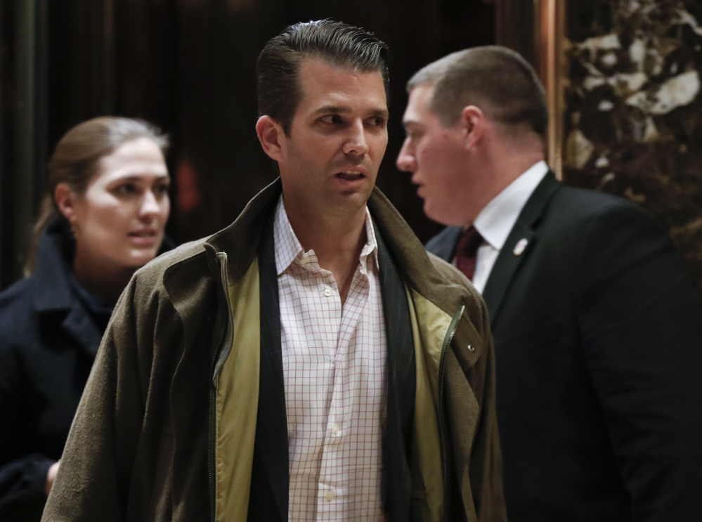 Donald Trump Jr., son of President-elect Donald Trump, and his siblings might control the family business soon.