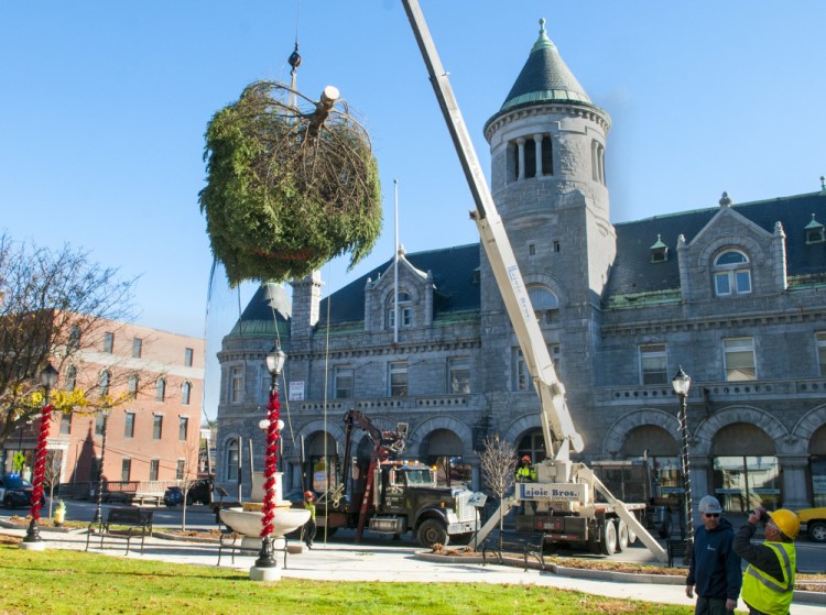 After cutting down a large spruce tree in Anne Dutil's north Augusta yard, workers lift it from a trailer in Market Square on Saturday.