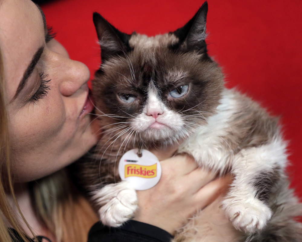 Grumpy Cat with owner Tabatha Bundesen in New York. The social media star posted her Top 10 pet peeves on her new blog.