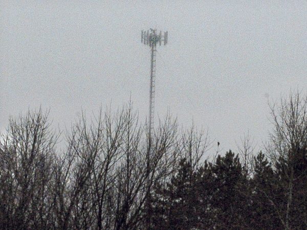 This newly erected cellphone tower can be seen from a residence off Sugar Hill Road in Harmony near the Cambridge town line on Thursday.