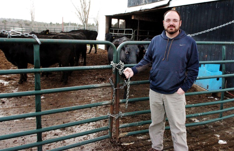 Mike Brown stands beside a chained gate Thursday at his Meadowbrook Farm in China, where someone unchained and broke locks on the gate and let some of his black Angus cattle escape from the pen recently. The farm is one of several in central Maine have been vandalized in recent weeks.