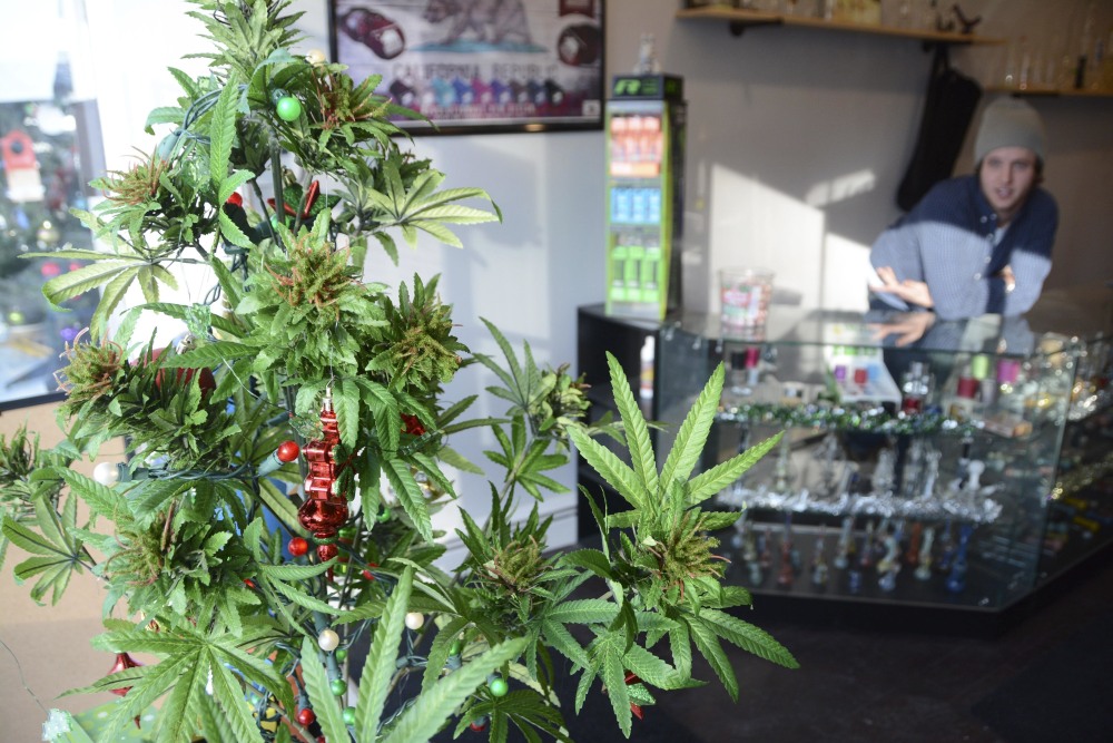 A marijuana "Christmas tree" sits in the window of Shire Glass, a fine tobacco shop on Main Street in Great Barrington, Mass, on Wednesday. On Thursday, a voter-approved measure legalized the possession of small amounts of recreational pot.