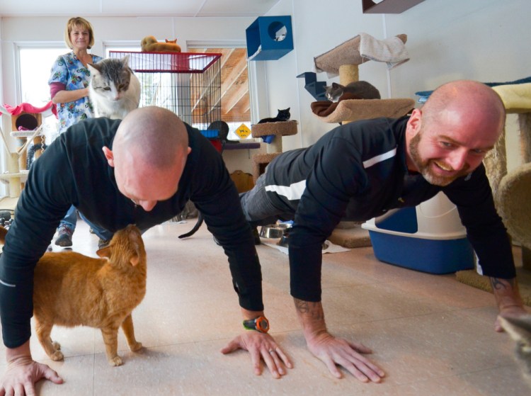 Dave Dostie, of Augusta, left, and Tony Routh, of Randolph do a final round of push-ups Friday in Winthrop as P.A.L.S. shelter Executive Director Theresa Silsby and the cats look on.