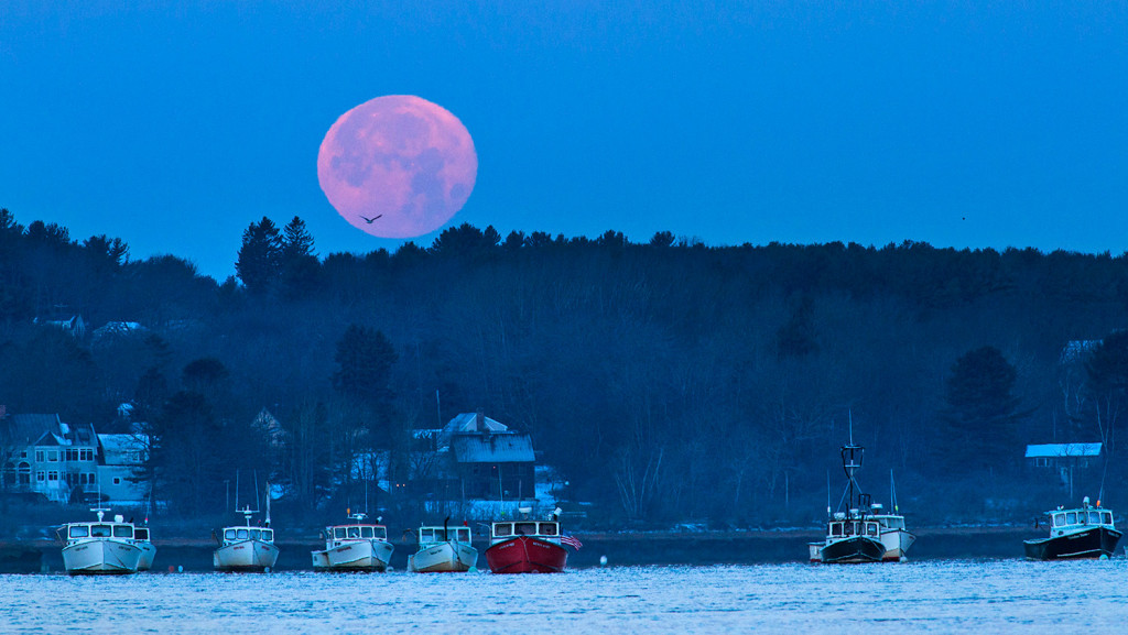 Fishing boats point the way of the tide in the Scarborough River under a full moon at Pine Point on Wednesday morning. It was the third consecutive supermoon. The term “supermoon” is used for those full moons that occur when the distance between Earth and the moon is less than is typically the case. 
