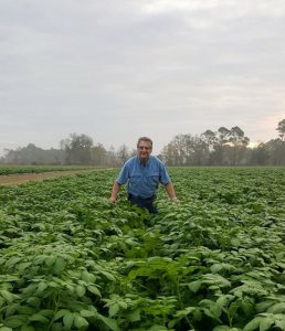 After just one growing season Dan Corey has already learned that farming in Florida is quite different than farming in Aroostook County.