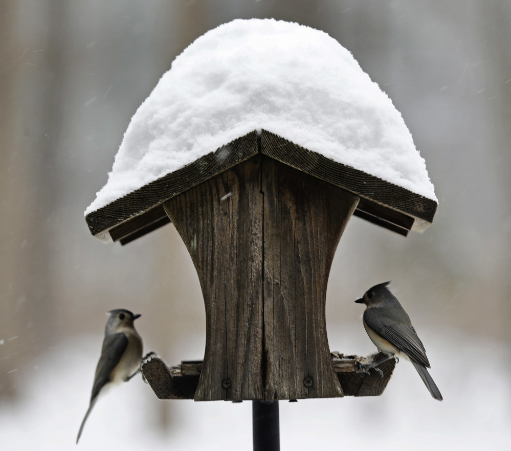 Birds perch on a feeder as snow accumulates Saturday near Hillsborough, N.C. Some of the South's biggest cities avoided the worst of the storm, however.