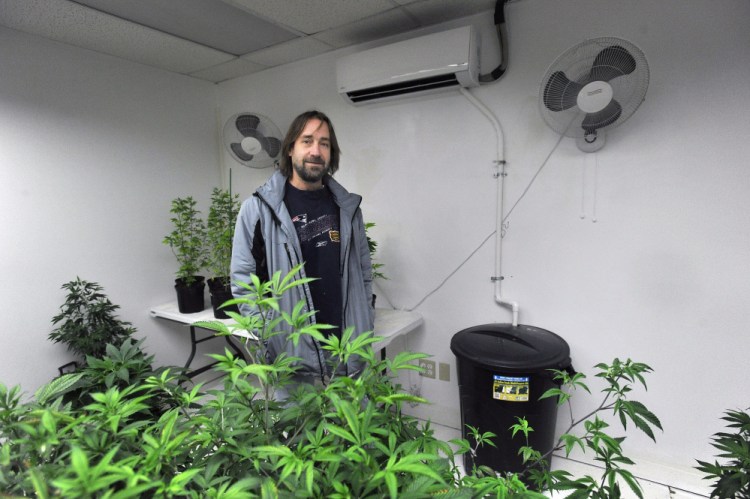 Dawson Julia, a medical marijuana caregiver, stands in a grow room in Unity where a heat pump is connected to a bucket that collects expended water, one of a number of sustainability practices employed at East Coast CBDs.