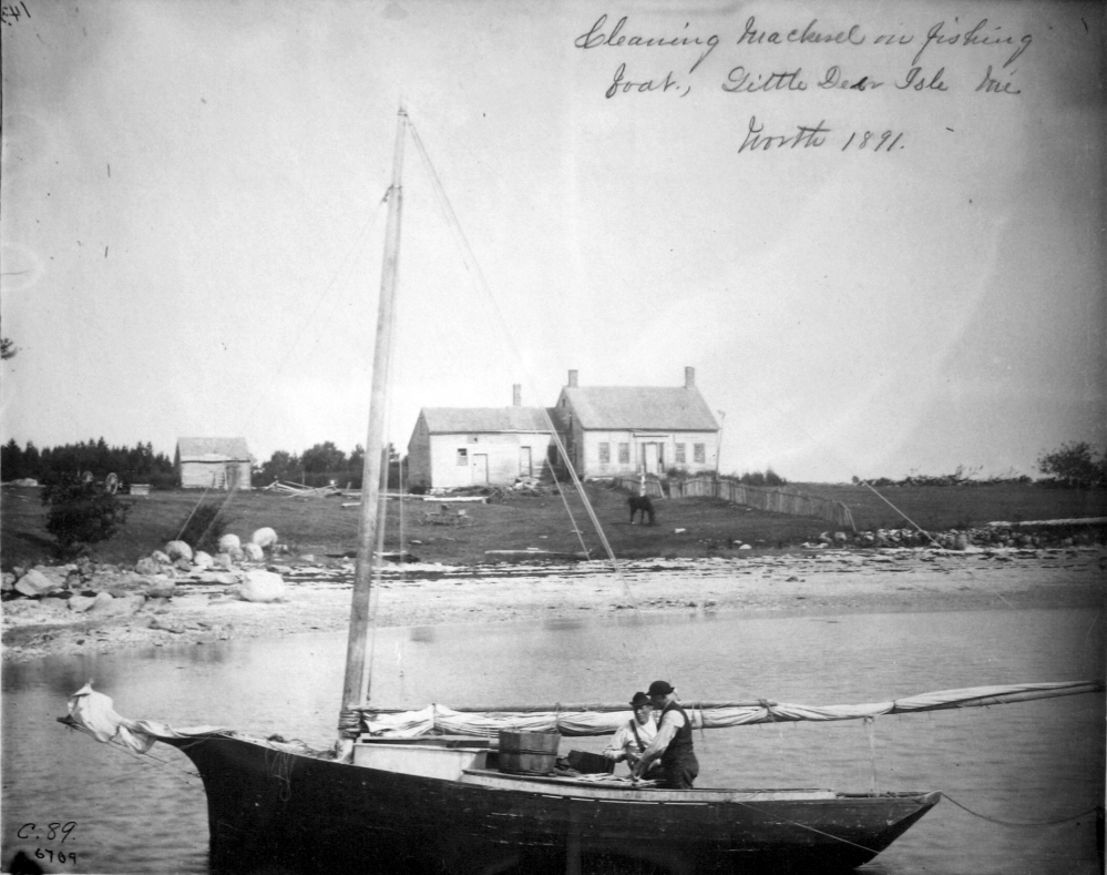 Penobscot Bay fishermen clean mackerel near their saltwater farm off the Maine coast in this 1891 photo. Scientists have concluded that the 1815 volcanic eruption of Mount Tambora in Indonesia led to a short period of climate cooling, and that led to increased the consumption of mackerel, which were less affected than crops and other animals in New England.