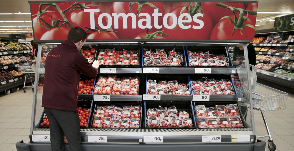 After years of increasing size and volume of supermarket tomatoes, producers are beginning to focus on taste – which was bred out of the fruit in favor of shipping-friendly factors – thanks to advances in genetic research.
