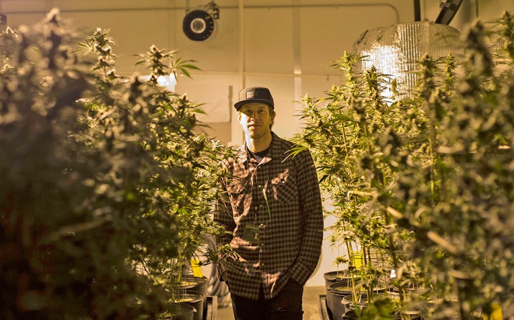 Brian Lade, president of Smokey Point Productions,  in Arlington, Washington, says, "If you want to provide cannabis to your people, you've got to adapt or die." 