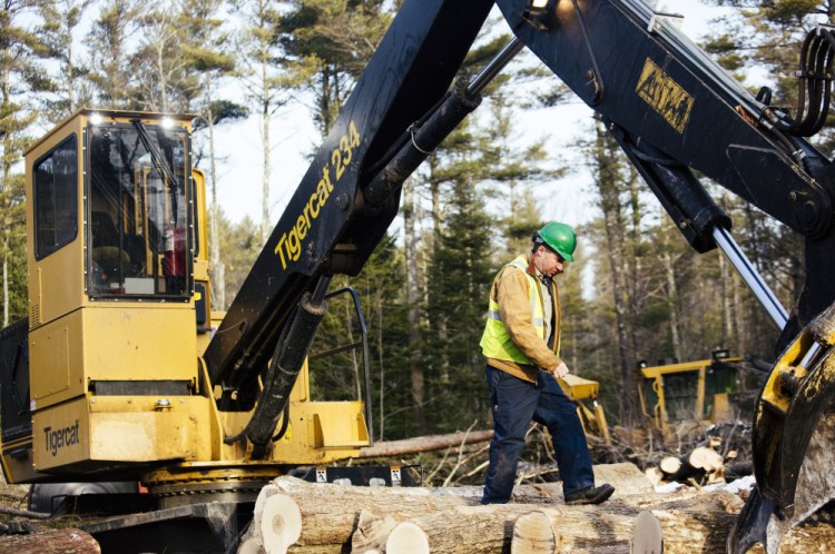 Tom Cushman, owner of Maine Custom Woodlands in Durham, walks along stacked logs after feeding wood into a chipper to be sent as biomass fuel to ReEnergy in Brunswick.