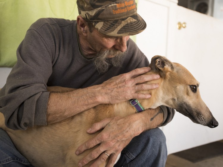 Bill Black, a volunteer at the Maine Greyhound Placement Service, comforts a greyhound named Sandy on Monday at the kennel in Augusta.