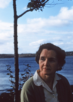 Disparaged by media, business and public officials, scientist and writer Rachel Carson deployed facts, understanding and calmness.
