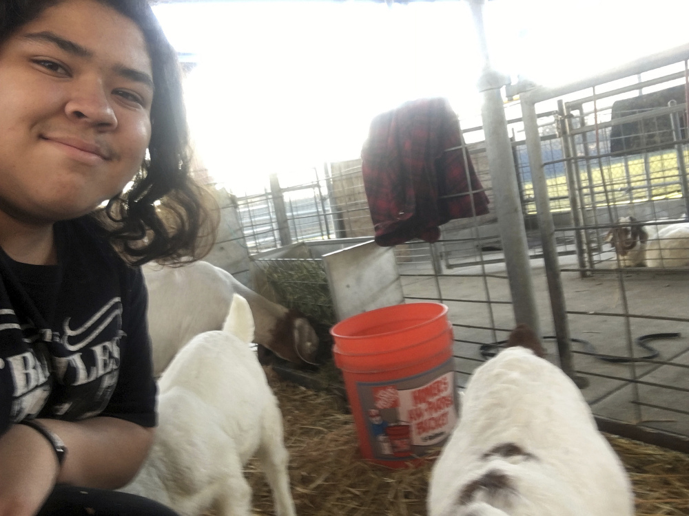 Elijah Arredondo, a second-generation Mexican-American from La Habra, California, seen in a selfie with goats he's raising, worries about his family under President Trump.