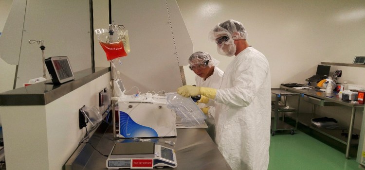 Cell therapy specialists at Kite Pharma's manufacturing facility in El Segundo, Calif., prepare blood cells from a patient to be engineered in the lab to fight cancer. 