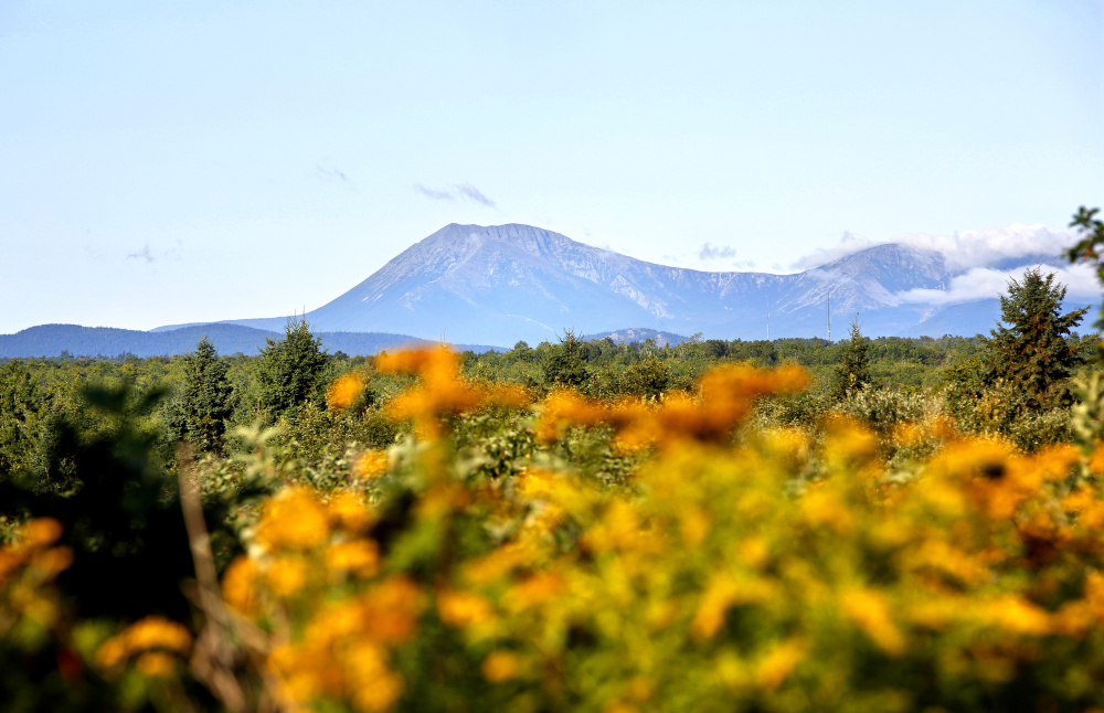 Mount Katahdin can be seen in the distance in this view from Route 159 in Patten, bordering the Katahdin Woods and Waters National Monument, which consists of 87,500 acres of donated forestland.