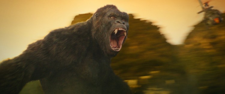 The ape in "Kong: Skull Island" is bigger than any of his previous movie incarnations.