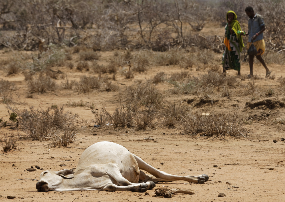 Villagers walk past a dead cow in the village of Bandarero on the Ethiopian border in northern Kenya. The U.N. humanitarian chief, Stephen O'Brien, toured the village and called on the international community to avert a famine.
