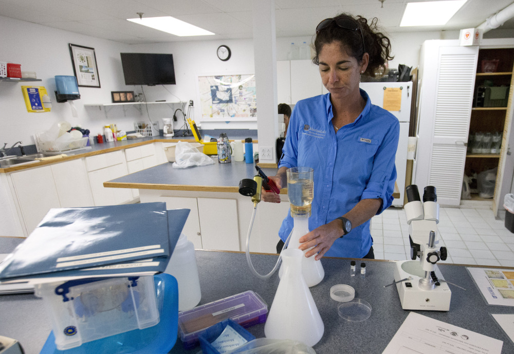 Sarah Egner, director of curriculum development at Marinelab in Key Largo, Fla., checks for microscopic plastics in seawater. Gulf Coast researchers are launching a two-year study to see whether the microfibers shed by fleece clothing affect marine life.
