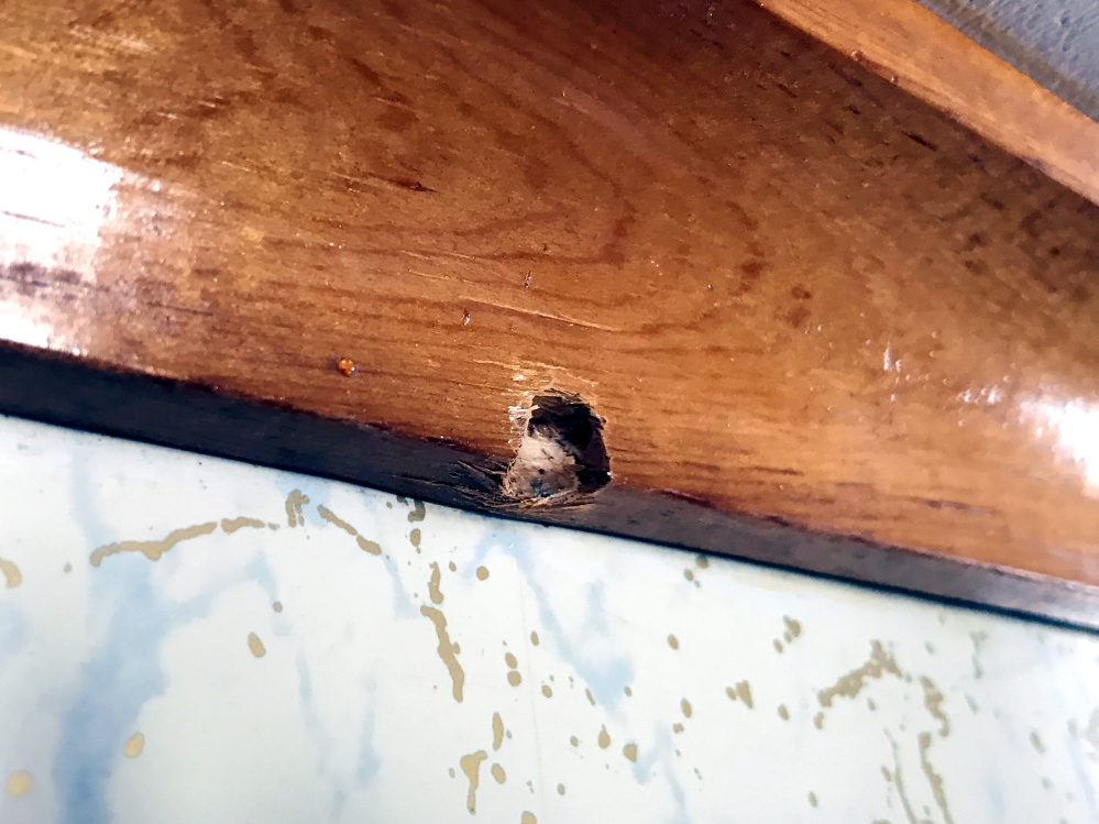 A bullet hole seen Friday in the kitchen crown molding in Audrey Hewitt's Sidney home shows evidence of her son's March 11 struggle with an intruder.