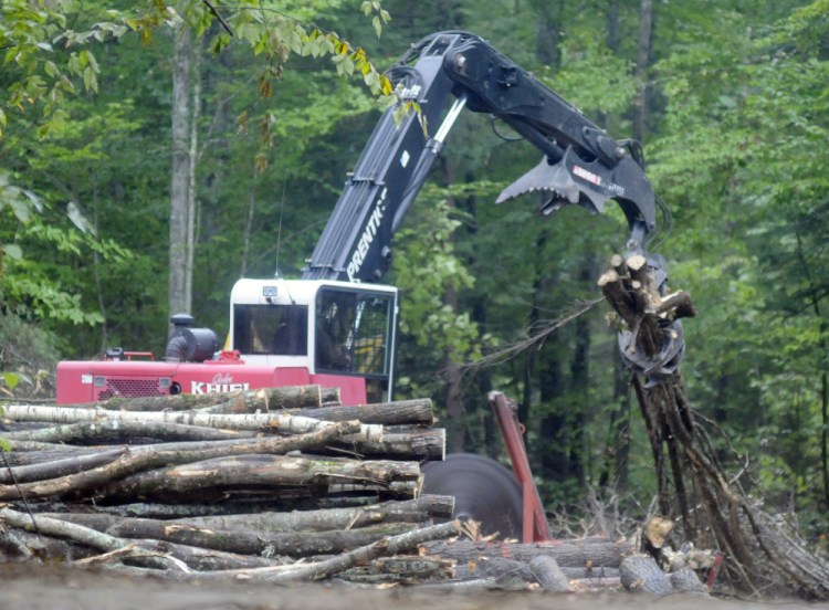 A loader sorts wood harvested from a section of the Jamies Pond Wildlife Management Area in Manchester in September. Timber-cutting crews have worked on 450 acres so far and have removed more than 4,800 gross cords of wood.