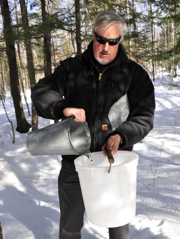 Iver Lofving collects maple sap Monday from trees behind the Chez Lonndorf sap house on Burrill Hill Road in Skowhegan in preparation for the Maine Maple Sunday event this weekend.