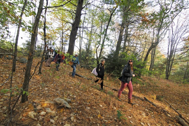People forage for mushrooms at Negutaquet Conservation Area in North Berwick. Sen. Thomas Saviello, R-Wilton, has put forth a bill that would prohibit foraging on private property without the owner's consent.