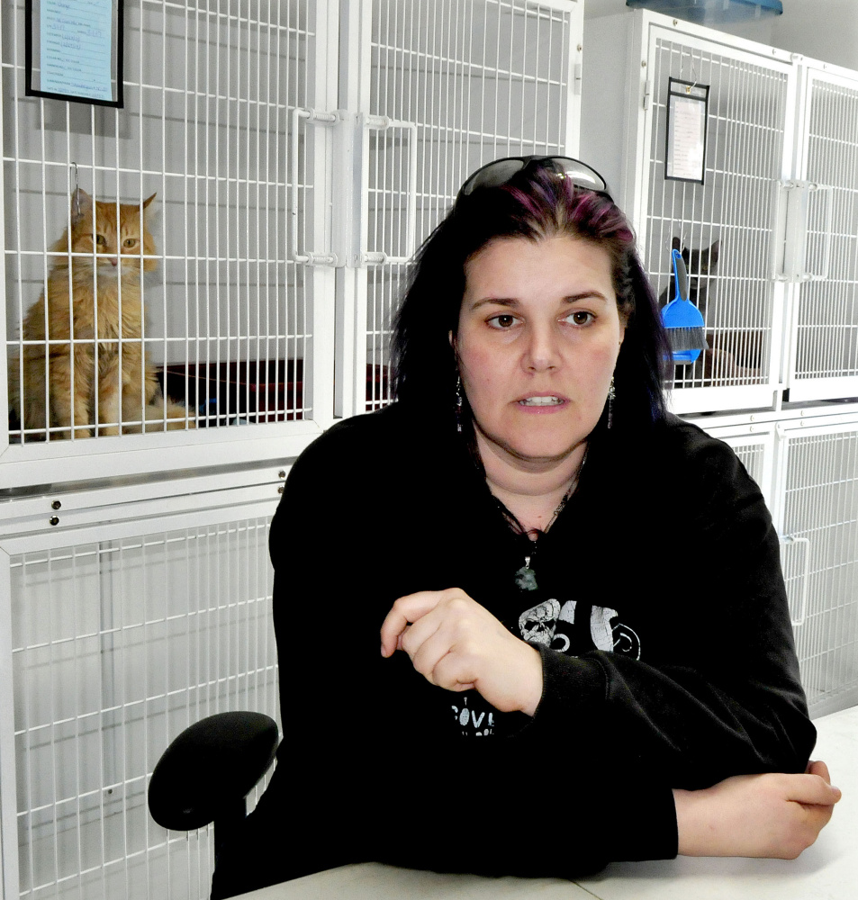 As two cats watch from cages, Bonnie Brooks of the Somerset Humane Society in Skowhegan discusses Thursday the practice of animal "flipping," in which a person acquires an inexpensive or free dog for the purpose of selling the animal for a profit.