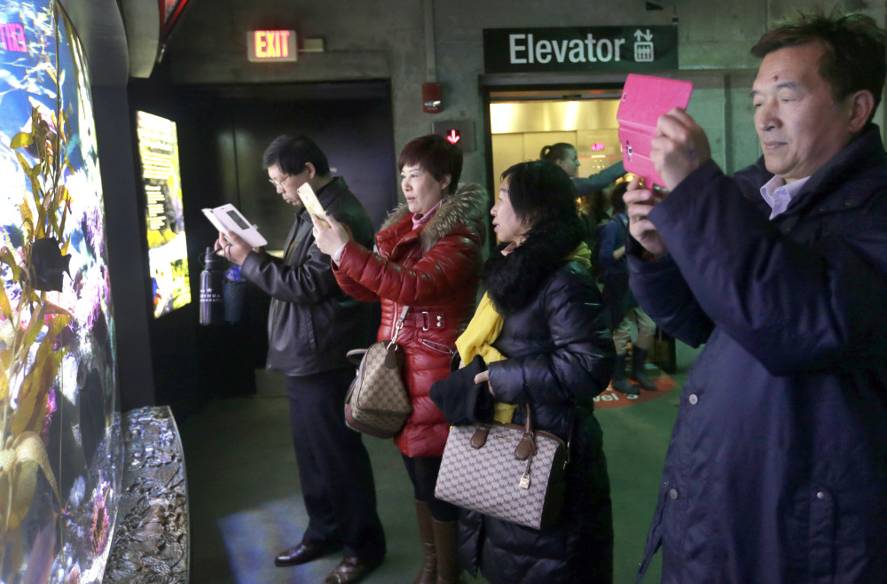 Tourists from China take pictures at the New England Aquarium in Boston. In cities across the country, the American hospitality industry is stepping up efforts to make Chinese visitors feel more welcome.