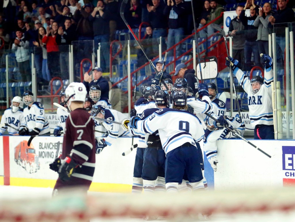 York players celebrate after Jacob Martin tied the score 1-1 in the second period. (Derek Davis/Staff Photographer)