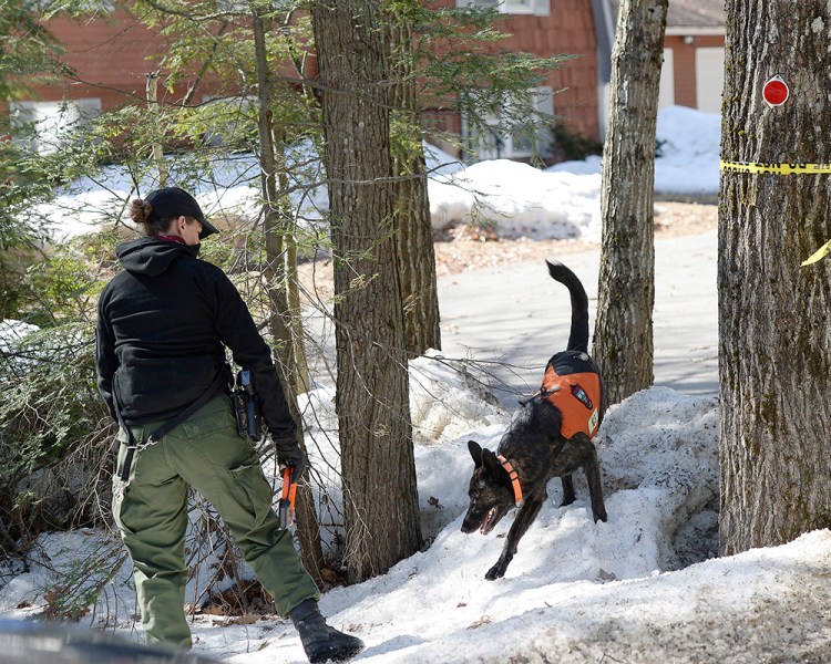 A warden with a K-9 search Thursday near the home in Arundel where Maine State Police are investigating the death of 63-year-old Matthew Coito. His wife, Sue Coito, who has dementia, is missing.