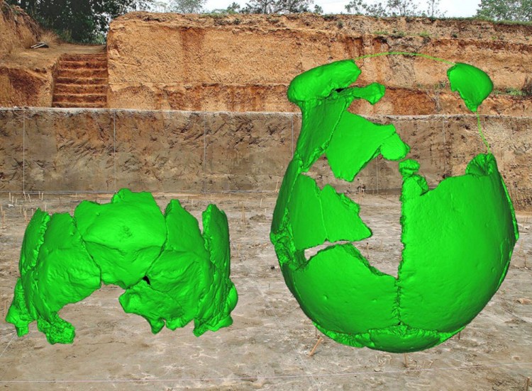 Digital reconstructions of the skulls superimposed over the site where they were found. 