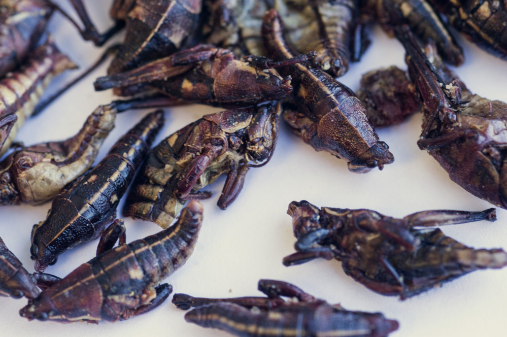 Edible insects: When dinner has 6 legs (or maybe 8)