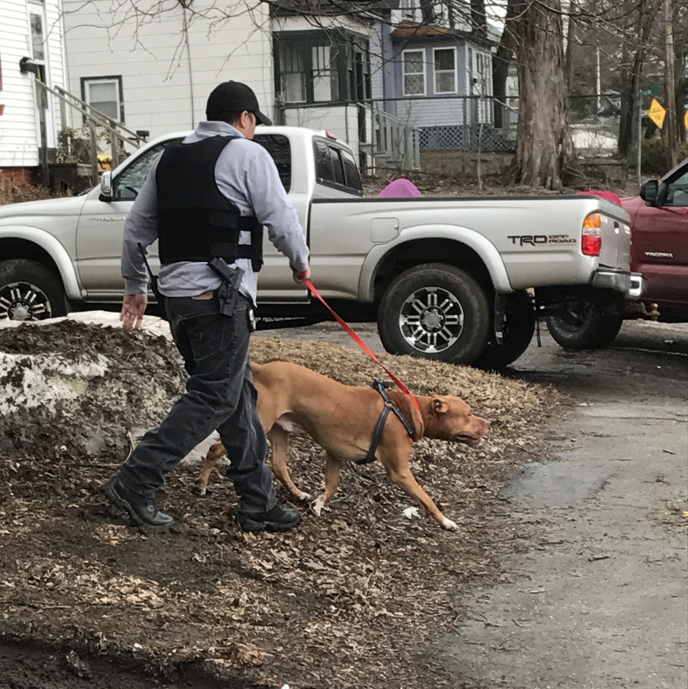 A police officer removes a dog from a residence on Front Street in Waterville on Friday after the dog reportedly attacked its owner, who was sent to the hospital.