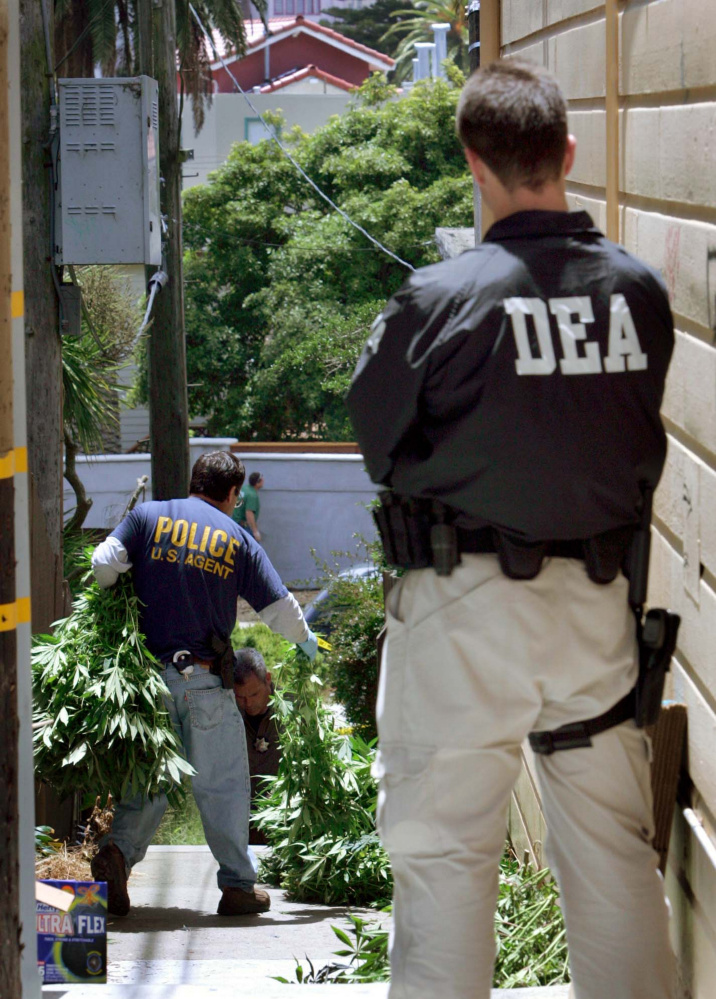 DEA agents haul away a cache of  marijuana plants from a San Francisco dispensary in 2005. With Jeff Sessions running the Justice Department, federal policy and enforcement are likely to return to a tough-on-crime approach.