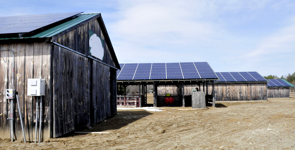 Four livestock barns are outfitted with solar panels that generate electricity for the Maine Organic Farmers and Gardeners Association in Unity on Monday. The association also uses heat pumps and wind turbines for alternative means of producing power.