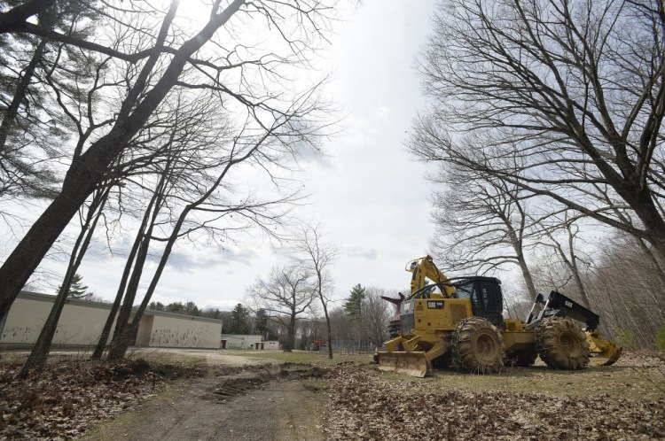 Logging will take place to make way for the new Hall Elementary School entrance in Portland.