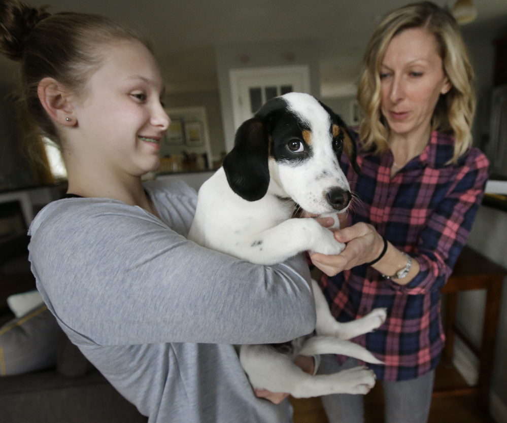 Morgan Fredette, 13, left, holds the family dog, Roscoe, as her mother, Kate, looks on at their home in Waltham, Mass. The family found looking for a dog to be "confusing" before they used the online service How I Met My Dog.