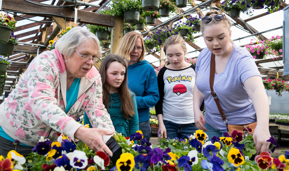 Carol Haskell, left, of Bryant Pond is joined Sunday by her daughter and grandchildren at Longfellow's Greenhouses. At right of her are Ella Akers, 10, of Andover; Crystal Rowley of Lisbon Falls; and her daughters Molly, 12, and Bridget, 16.
