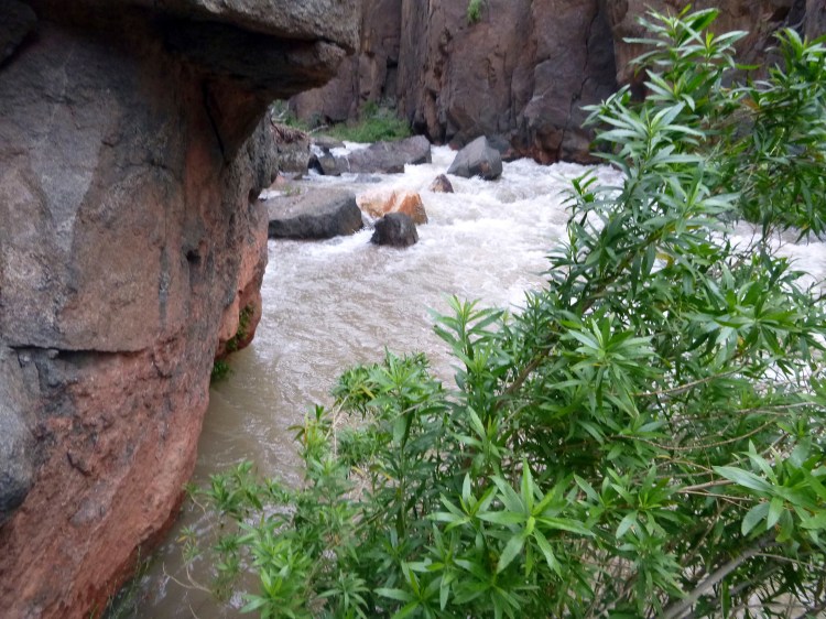 Tapeats Creek in Grand Canyon National Park, where Jackson Standefer, 14, and Lou-Ann Merrell, 62, lost their footing Saturday and fell into the water during a family trip.