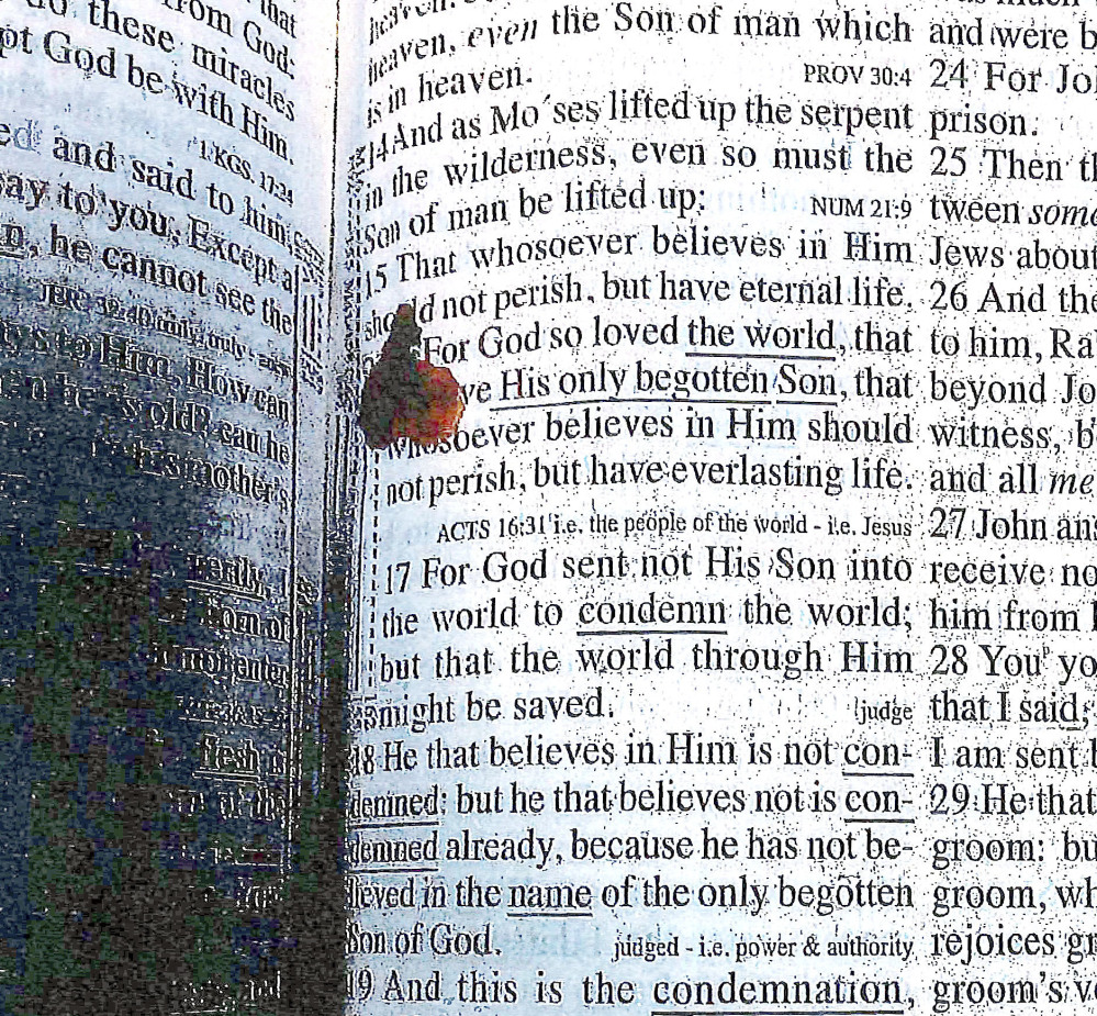 This photo released Thursday in a report by the Massachusetts Department of Correction shows a Bible open to John 3:16, with the verse marked in blood. The Bible was found in the cell of former New England Patriots player Aaron Hernandez after he was found hanged in his cell on April 19. Hernandez was serving a life sentence in the 2013 murder of Odin Lloyd.