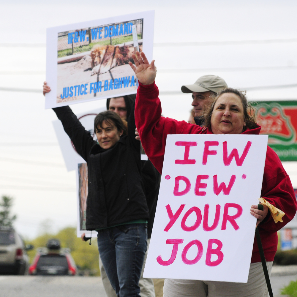 About a dozen protesters hold signs Friday outside the Maine Department of Inland Fisheries & Wildlife headquarters in Augusta, demanding that the department investigate DEW Haven in Mount Vernon.