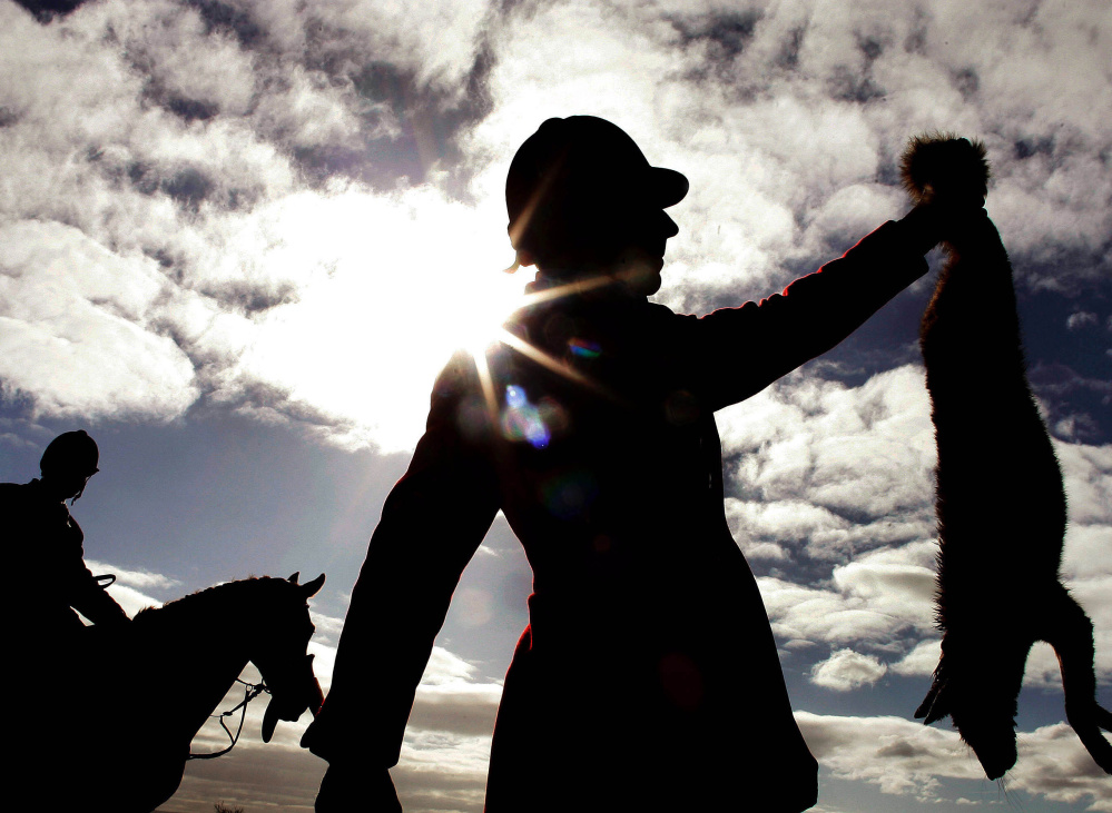 A huntsman from a South Durham hunt in northern England is silhouetted as he holds up a fox that was shot after being flushed out by hounds in 2005.