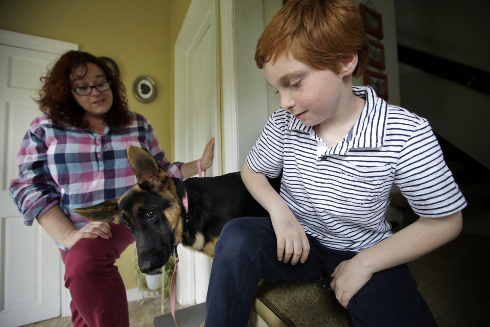 Susan Grenon talks with her son, Pauly, as he sits with their German shepherd at their home in Smithfield, R.I. A bill in Rhode Island would allow kids like Pauly to reapply sunscreen on themselves at school without a doctor's note.
